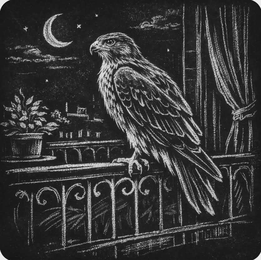 Mystical owl illustration